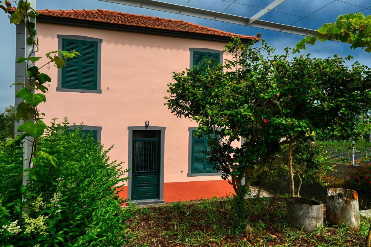Os Ferreirinhos, A Home In Madeira São Jorge Kültér fotó
